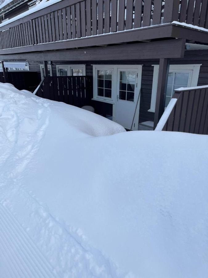 Leilighet Pa Gautefall Drangedal Exterior foto